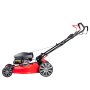 Газонокосилка бензиновая самоходная с двигателем FUBAG Honda FPL 56 SMH в Благовещенске фото