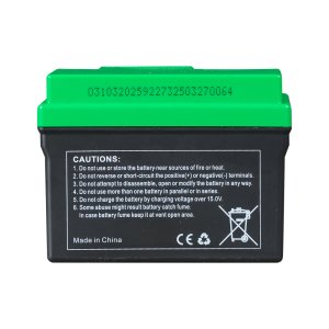 Аккумулятор FUBAG li-ion 3Ah для инверторного генератора TI 11000 A ES (арт. 646211) купить в Благовещенске